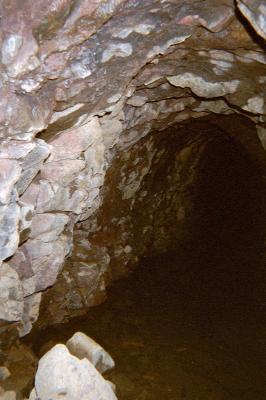 dbut de la galerie